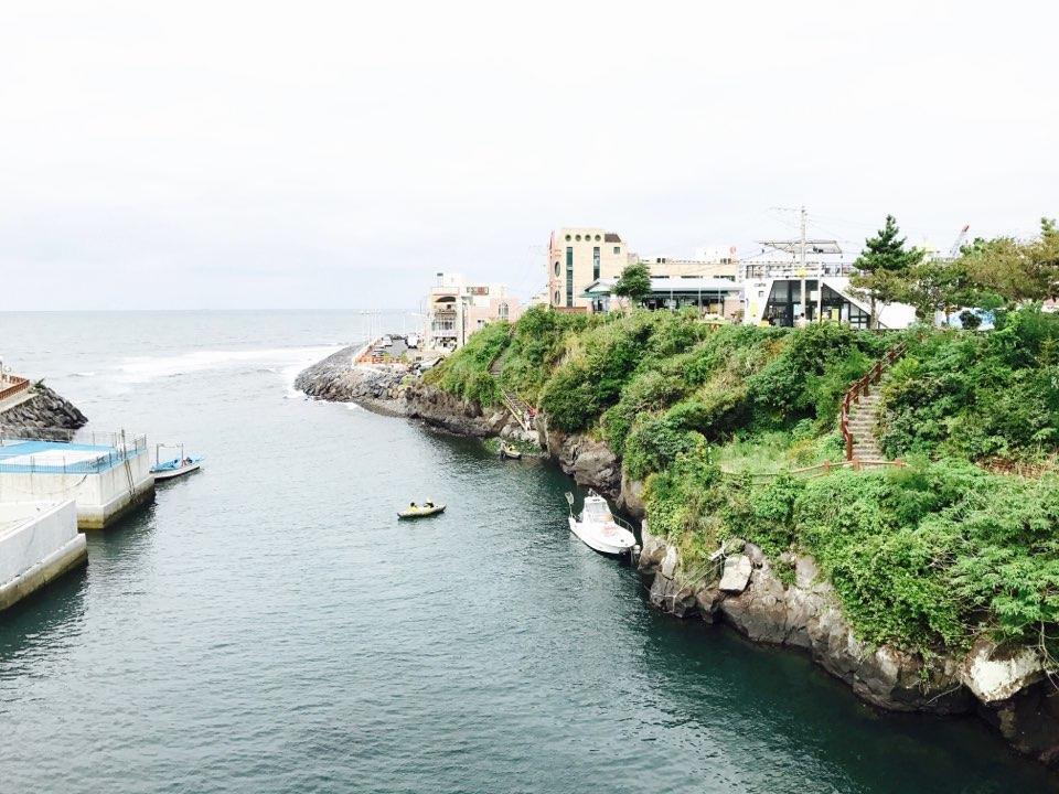 Little Haenyeo Villa Jeju Eksteriør billede