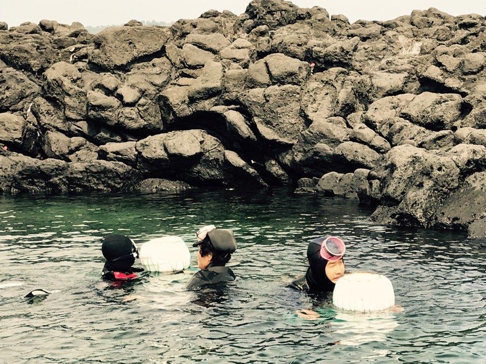 Little Haenyeo Villa Jeju Eksteriør billede