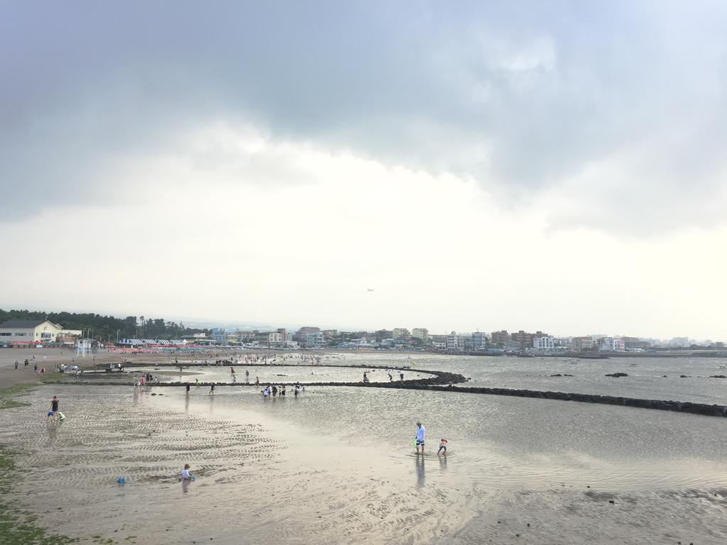 Little Haenyeo Villa Jeju Eksteriør billede